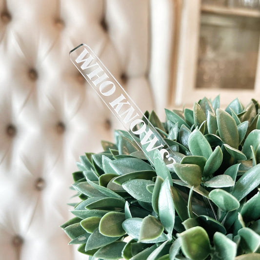 Mystery Plant Stake for Unidentified Rescue Plant - Plant Lover Garden Decor