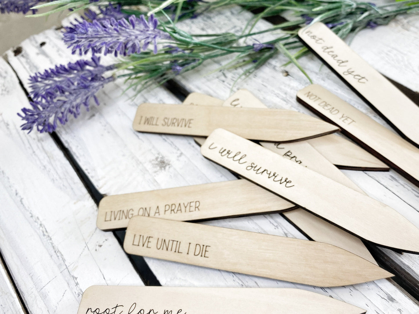 Plant Stakes, Garden Markers, Plant Pun, House Plant Sign, Custom Plant Marker, Funny Plant Marker. Not Dead Yet