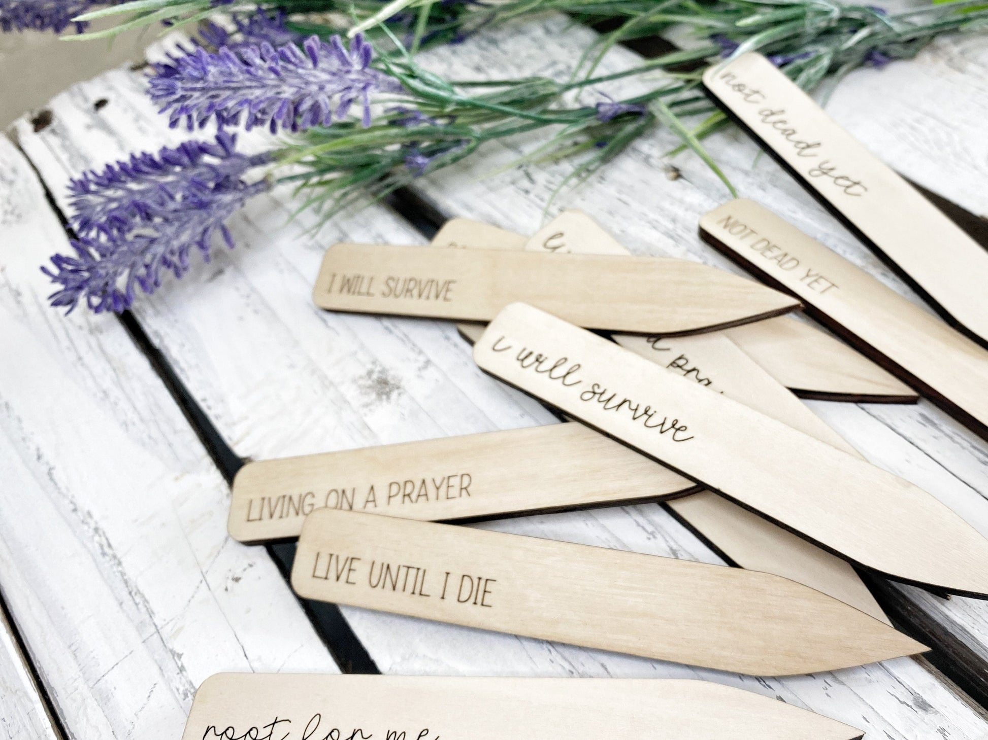 Plant Stakes, Garden Markers, Plant Pun, House Plant Sign, Custom Plant Marker, Funny Plant Marker. Not Dead Yet