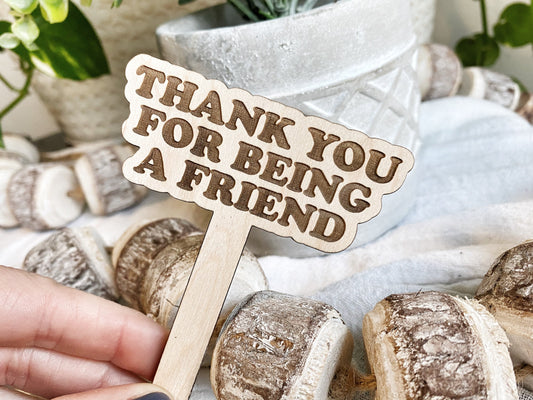 Thank you for being a friend, plant marker, funny plant stake, gift for plant lover, gift for friend