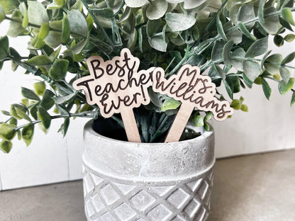 Personalized Teacher Plant Stake: Custom Teacher Appreciation Gift