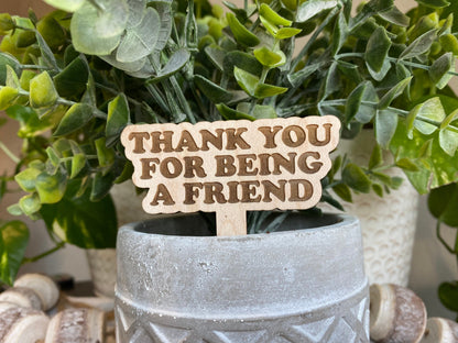 Thank you for being a friend, plant marker, funny plant stake, gift for plant lover, gift for friend