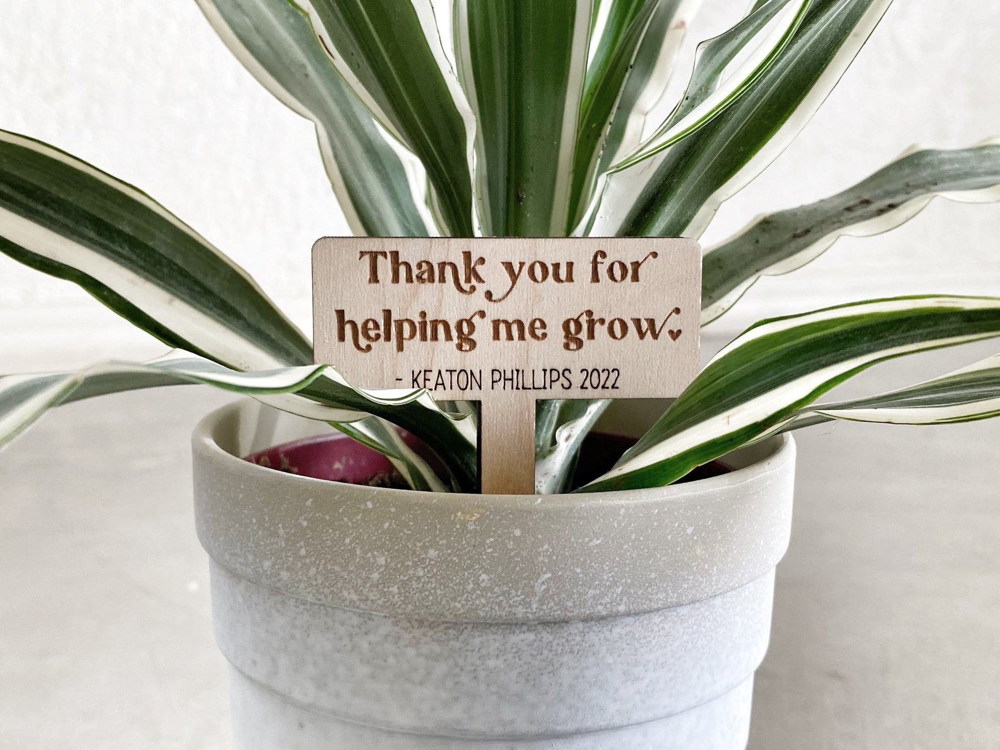 Personalized Teacher Plant Stake, Thank You For Helping Me Grow, Teacher Appreciation Gift, Mother's Day Gift, Last Day of School Gift